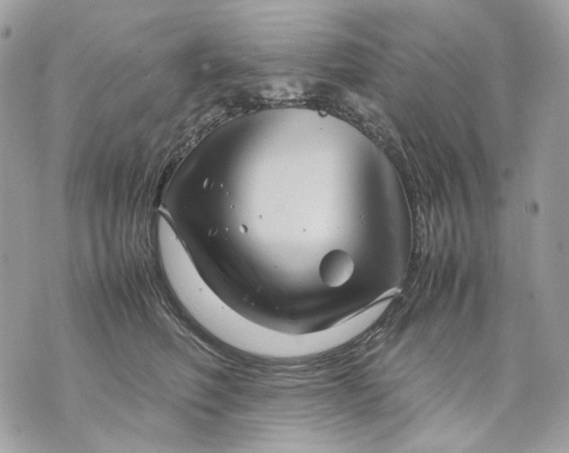 X0000070210614200606161643