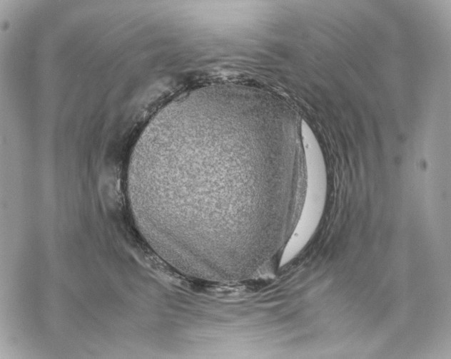 X0000070210615200606161643