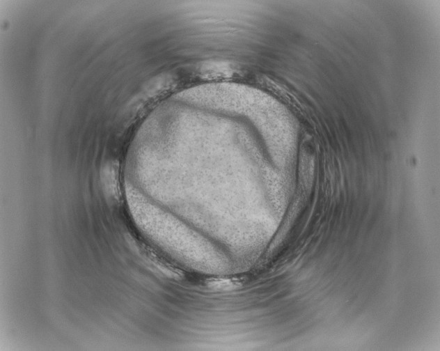 X0000070210616200606161643