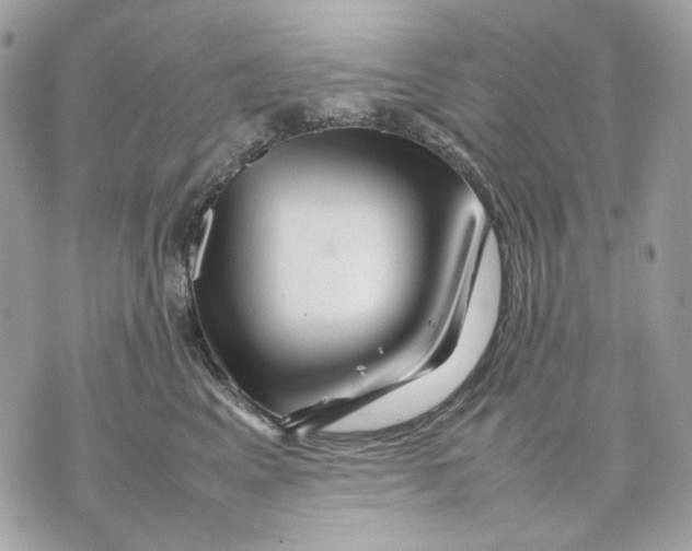 X0000070210617200606161643