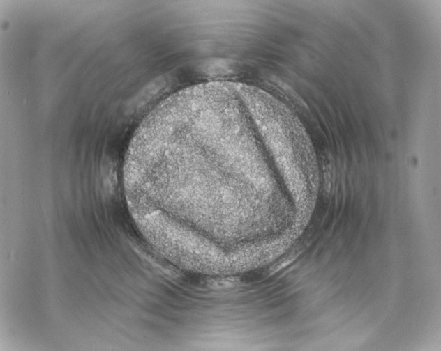 X0000070210618200606161643