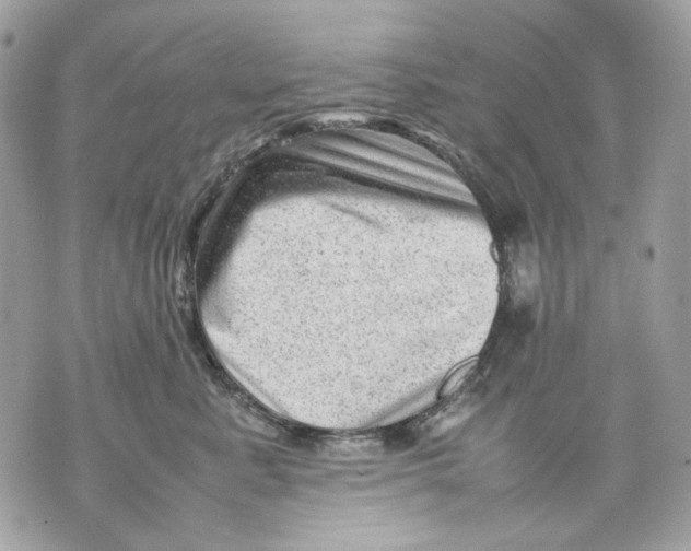 X0000070210619200606161643