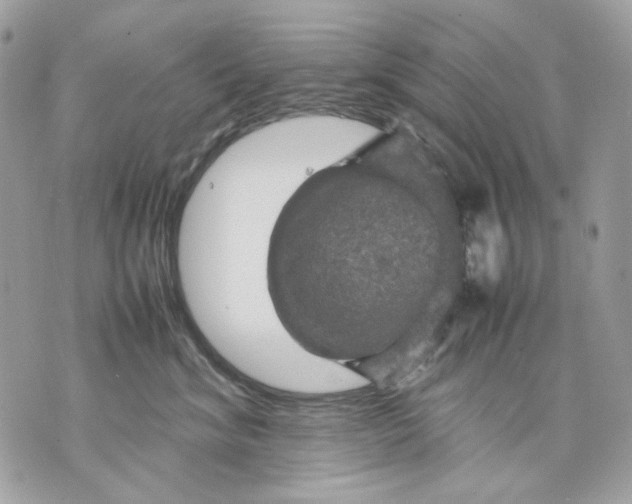 X0000070210620200606161643