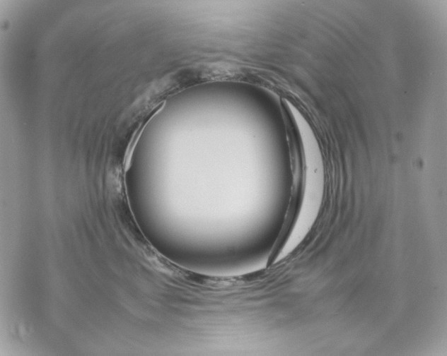 X0000070210621200606161643