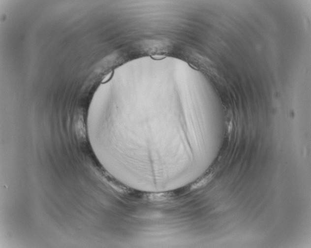 X0000070210622200606161643