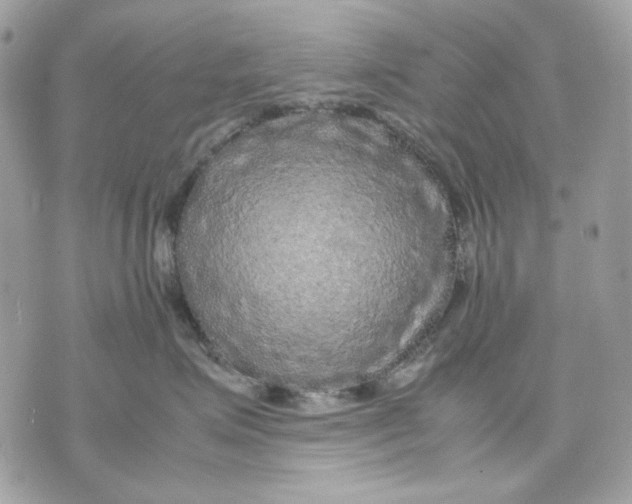 X0000070210623200606161643