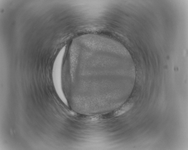 X0000070210624200606161643