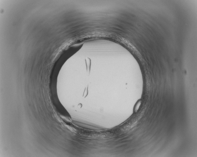 X0000070210625200606161642