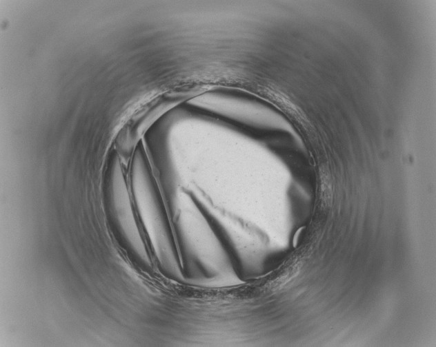 X0000070210626200606161642