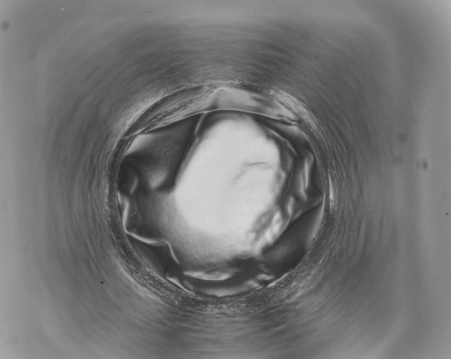 X0000070210627200606161642