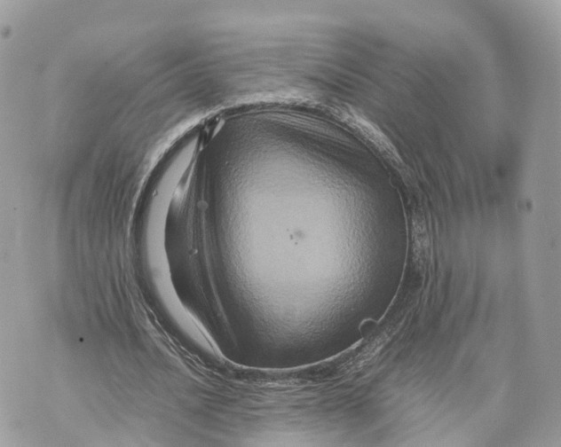 X0000070210628200606161642