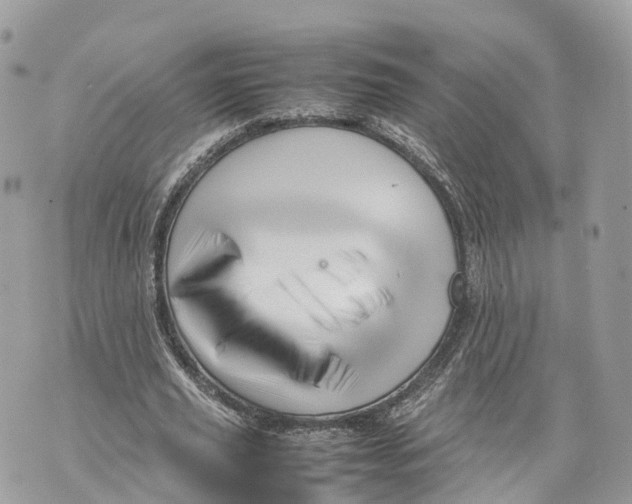 X0000070210629200606161642