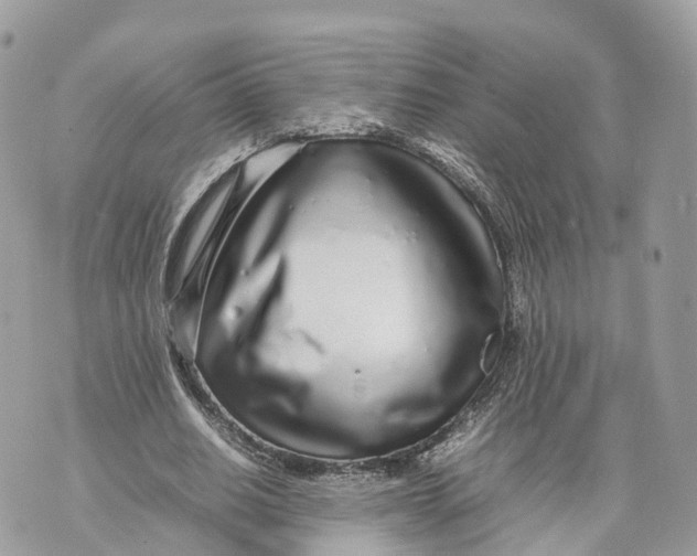 X0000070210630200606161642