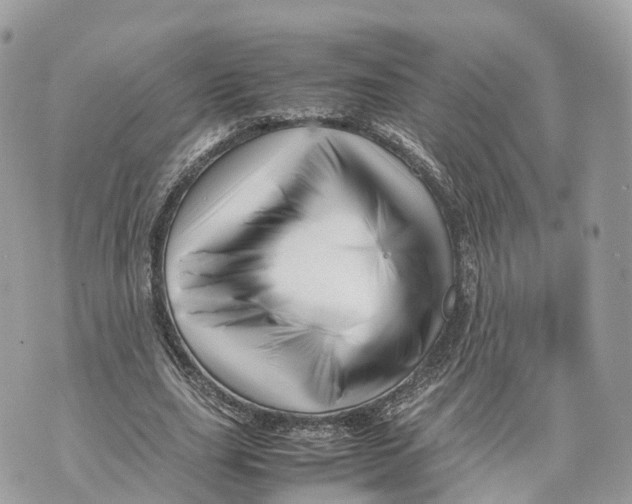 X0000070210631200606161642