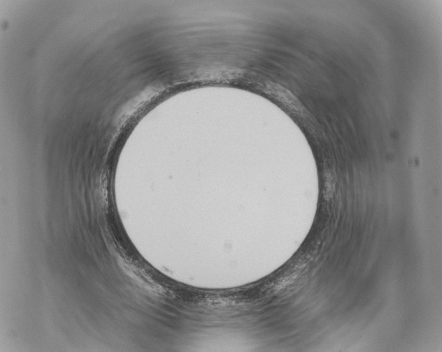 X0000070210632200606161642