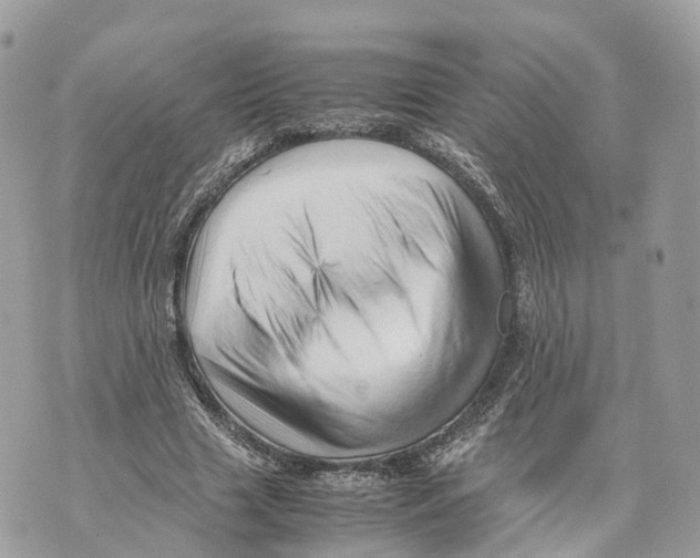 X0000070210633200606161642