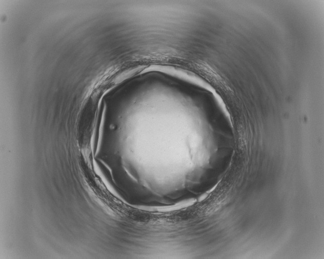 X0000070210634200606161642