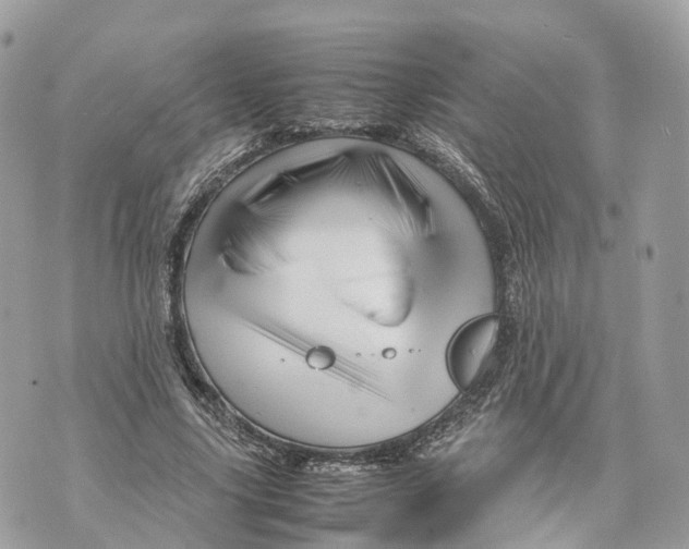 X0000070210635200606161642