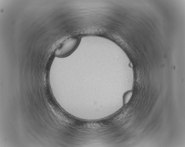 X0000070210636200606161642