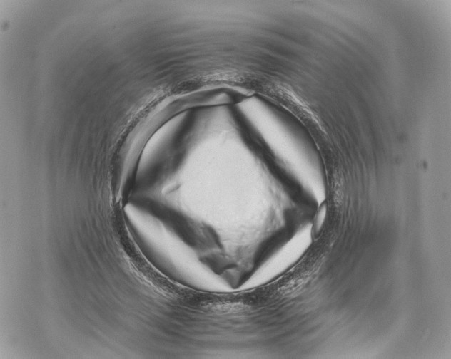 X0000070210637200606161642