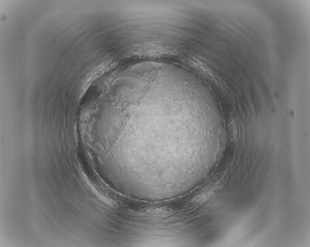 X0000070210638200606161642