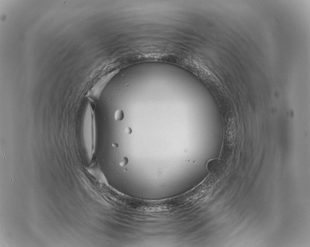 X0000070210639200606161642