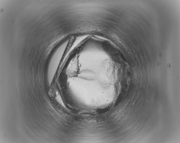 X0000070210640200606161642