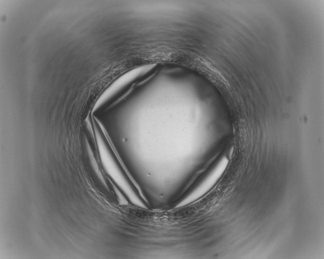 X0000070210641200606161642