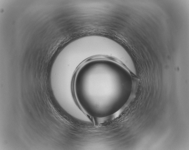 X0000070210642200606161642