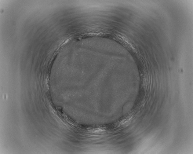 X0000070210643200606161642