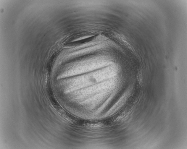 X0000070210645200606161643