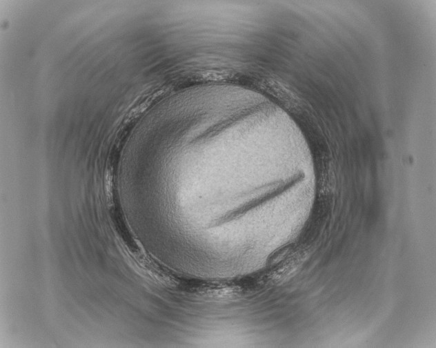 X0000070210646200606161643