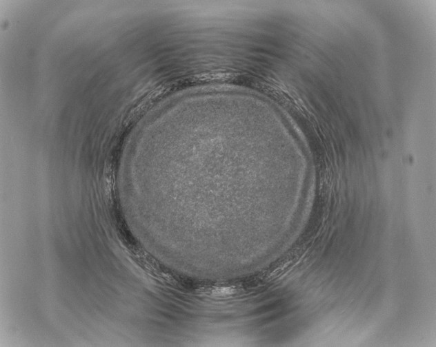 X0000070210647200606161643