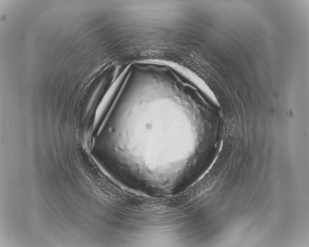 X0000070210648200606161643