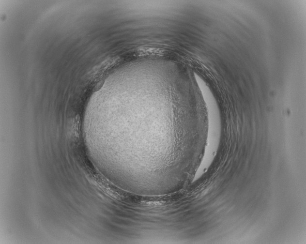 X0000070210649200606161643