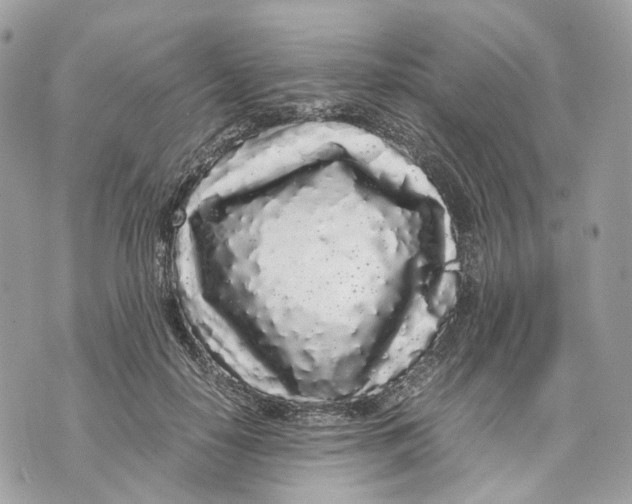 X0000070210650200606161643