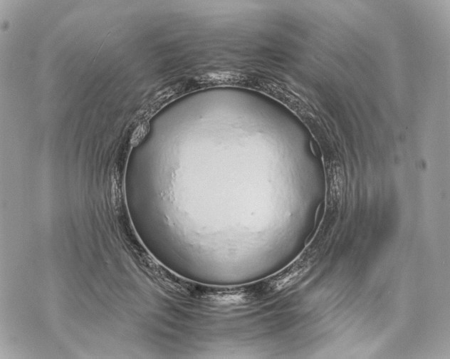 X0000070210651200606161643