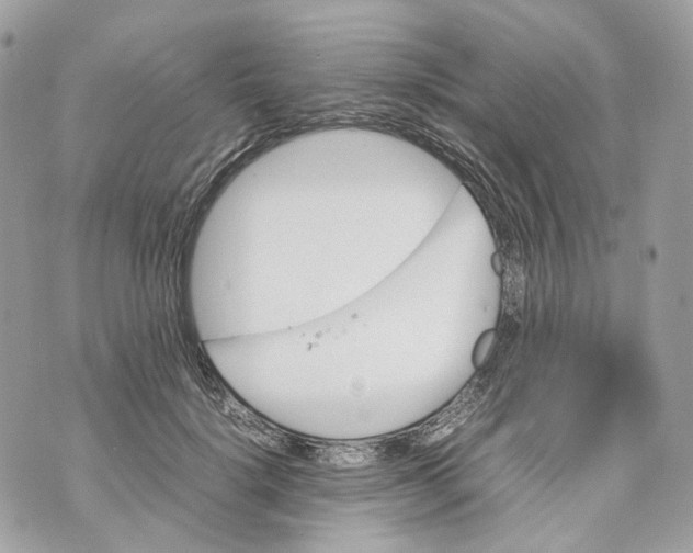 X0000070210652200606161643