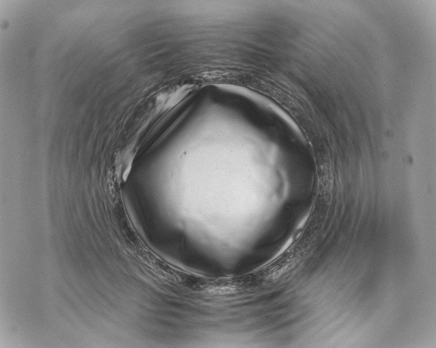 X0000070210653200606161643