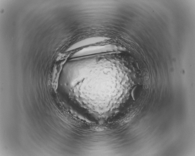 X0000070210654200606161643