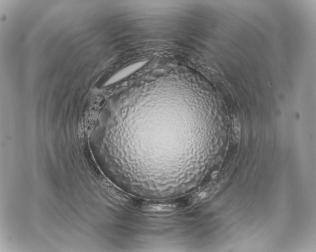 X0000070210657200606161643