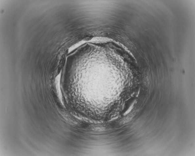 X0000070210658200606161643