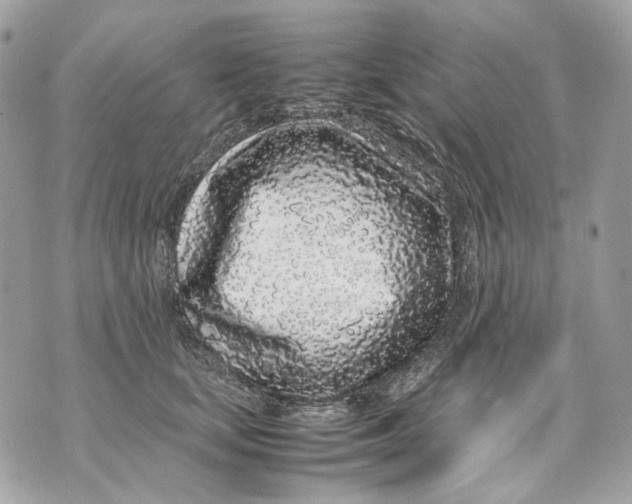 X0000070210659200606161643