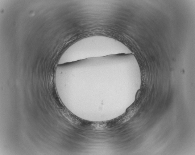 X0000070210660200606161643