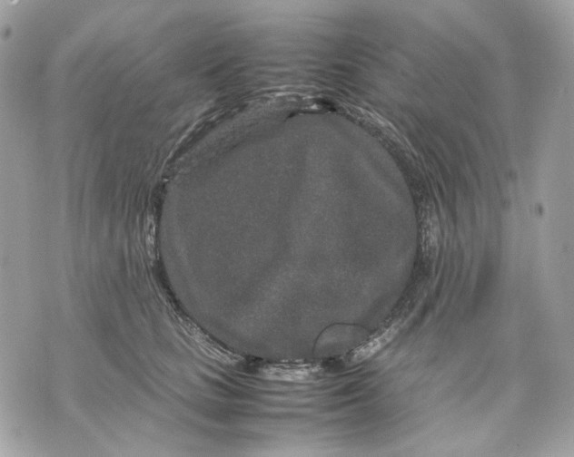 X0000070210661200606161643