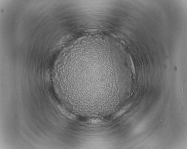 X0000070210662200606161643