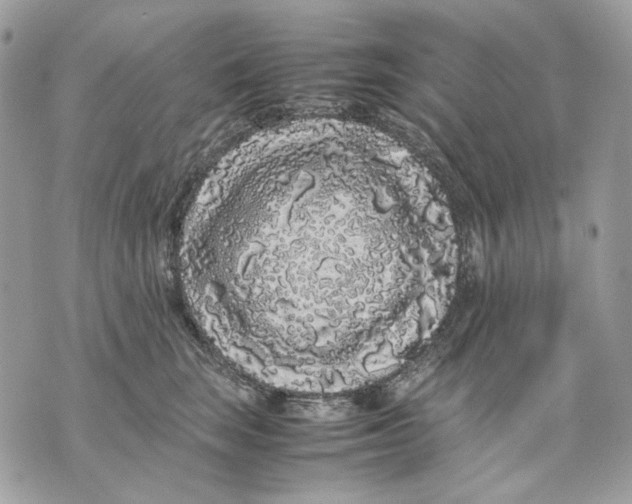 X0000070210663200606161643