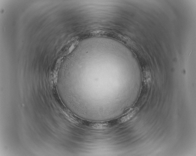 X0000070210664200606161643