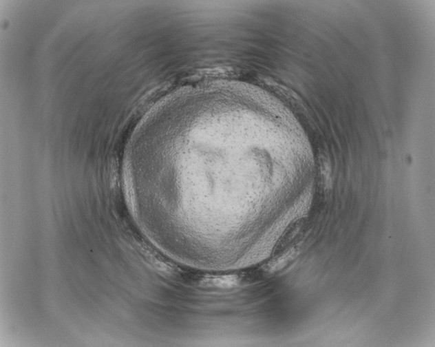 X0000070210665200606161643