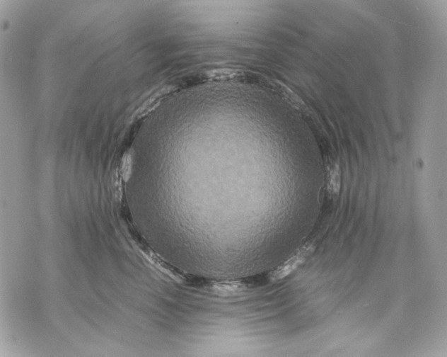 X0000070210666200606161643